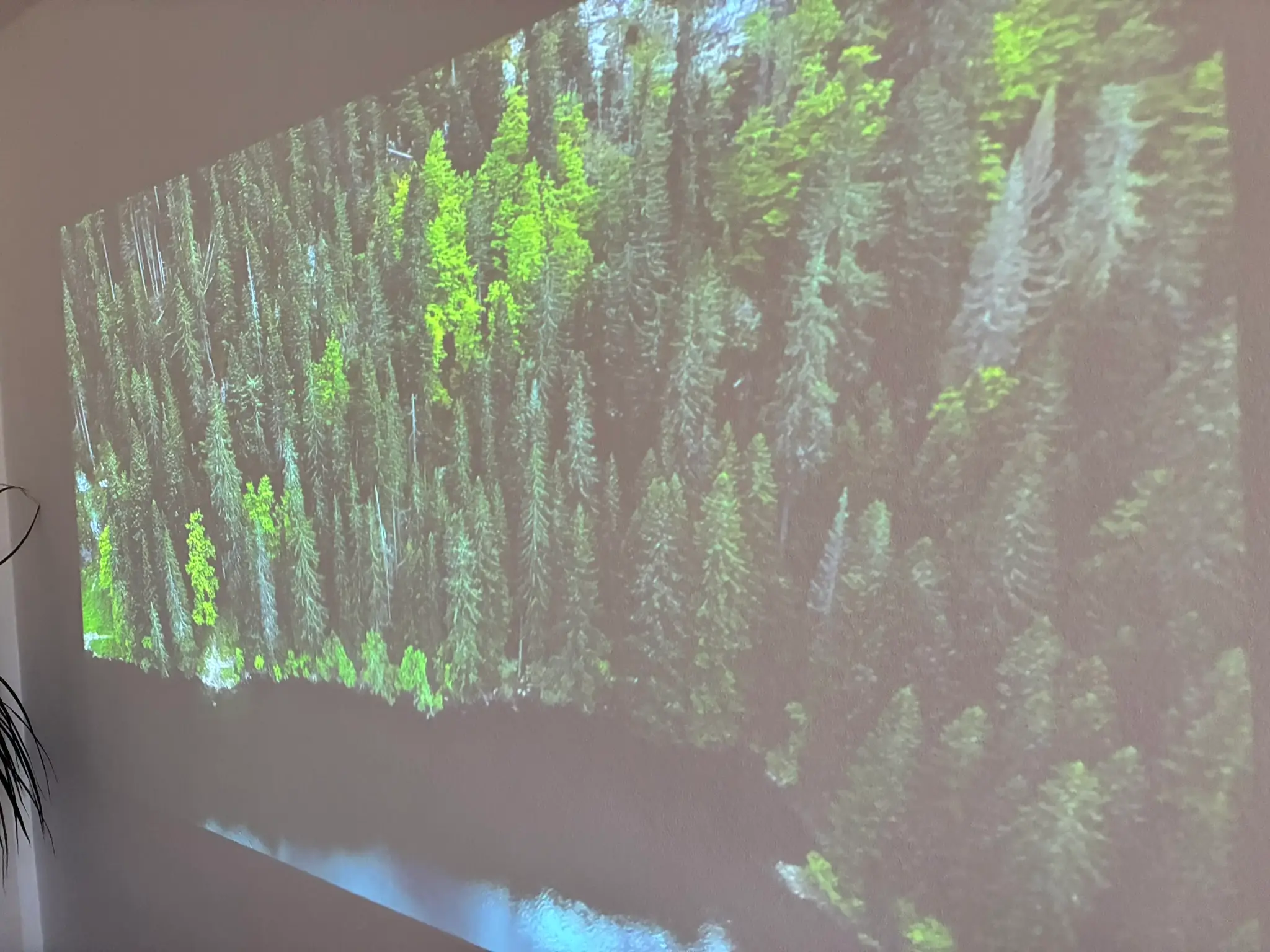 Bildqualität Acer PD1520US bei Lichteinfall Bild 1