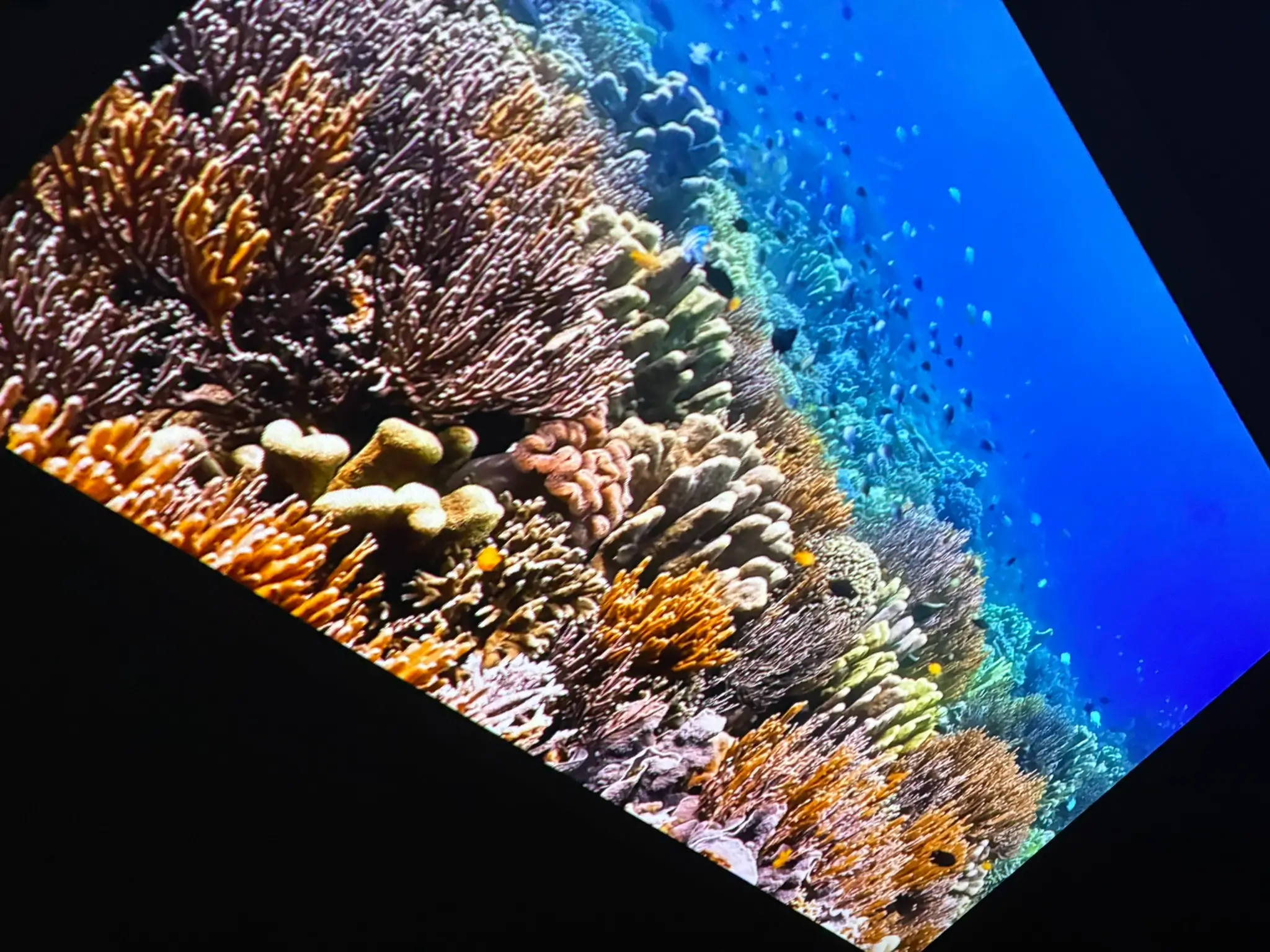 Bildqualität des BenQ GV50 in abgedunkeltem Raum