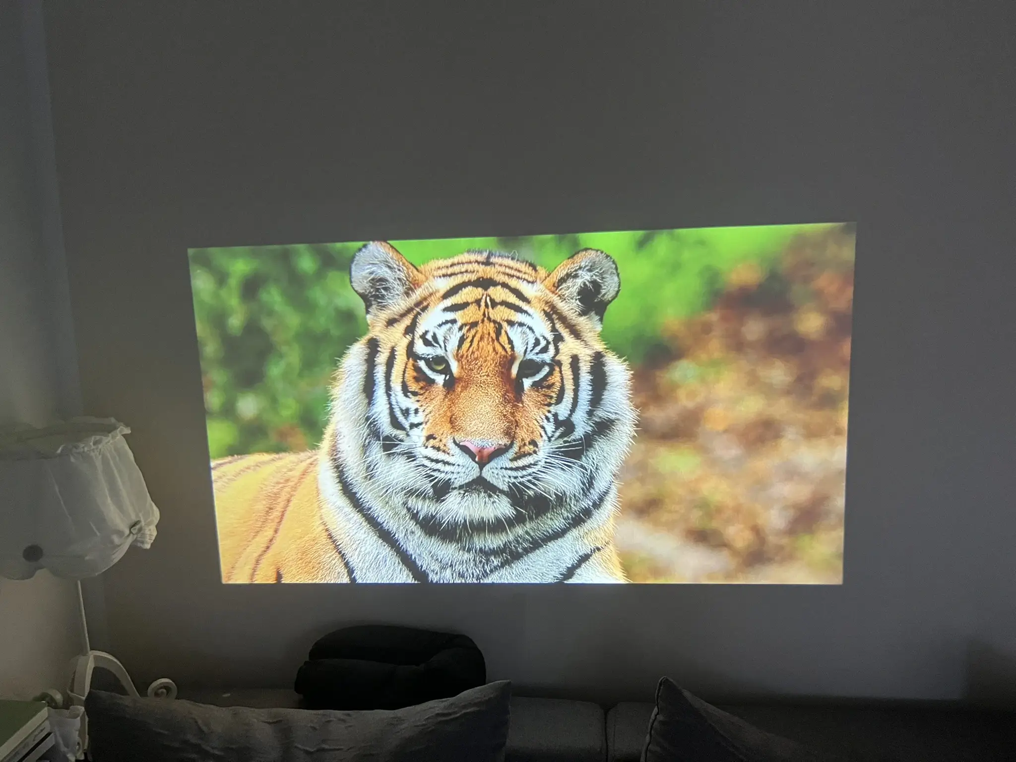 Tiger Beamer Projektion Acer AOpen L20