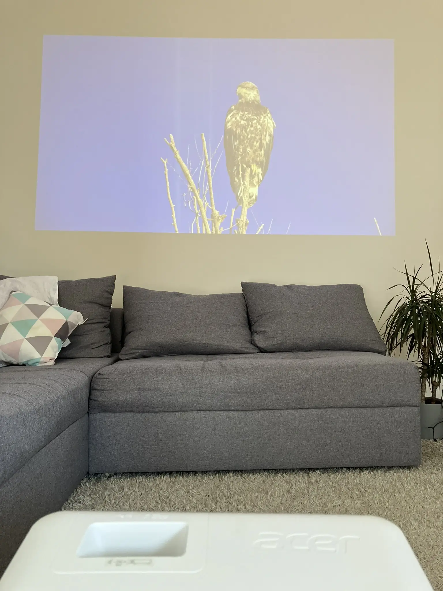 Normalmodus bei hellem Raum