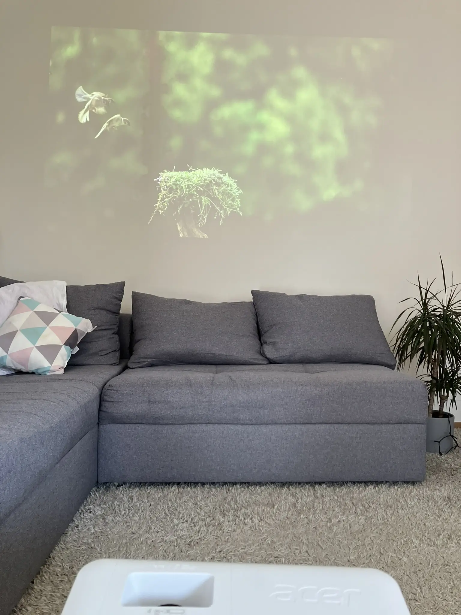 Acer Vero PL3510ATV Bildqualität Normalmodus hell