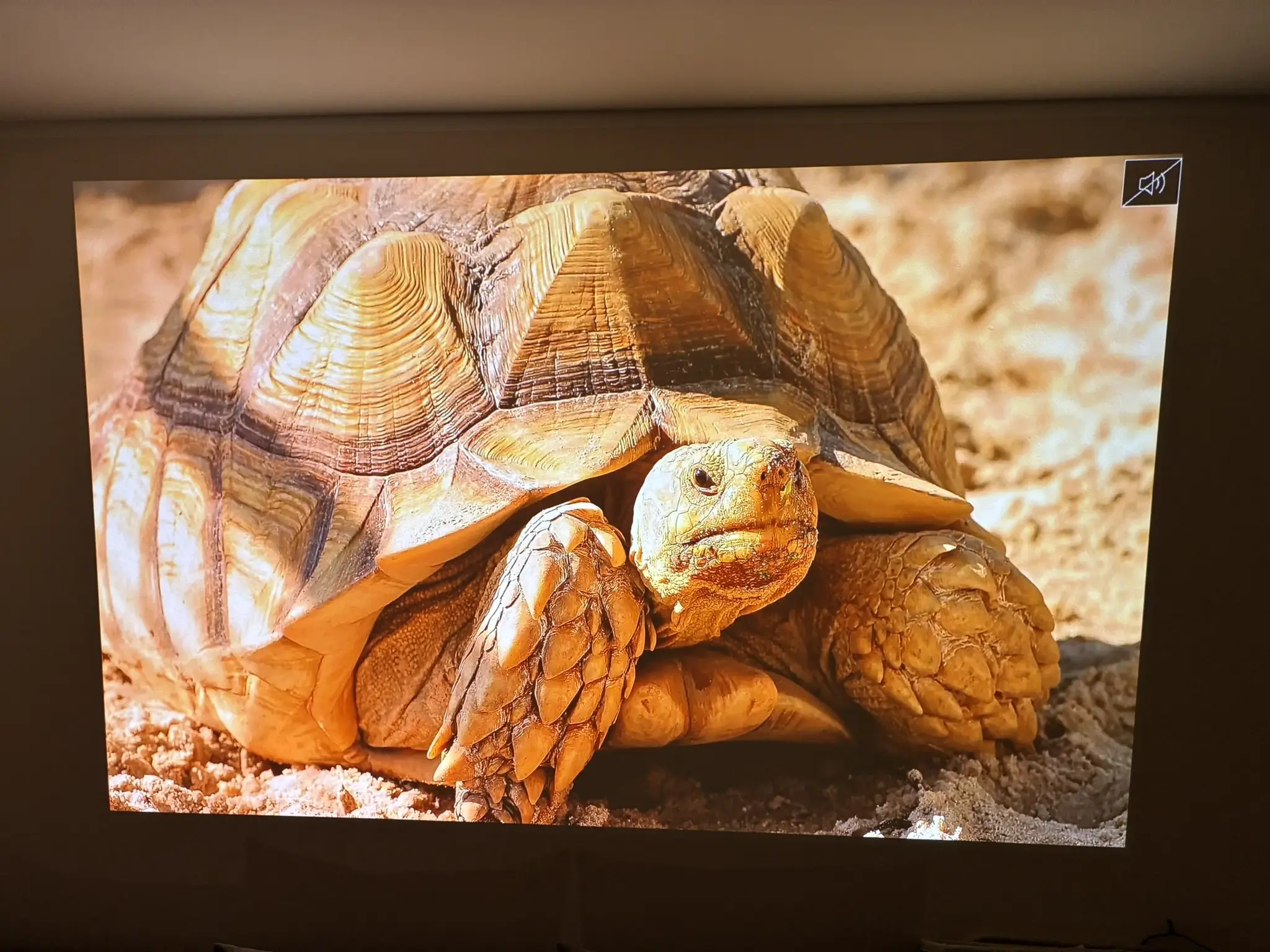 Bildqualität UHZ68LV im Normalmodus bei abgedunkeltem Raum